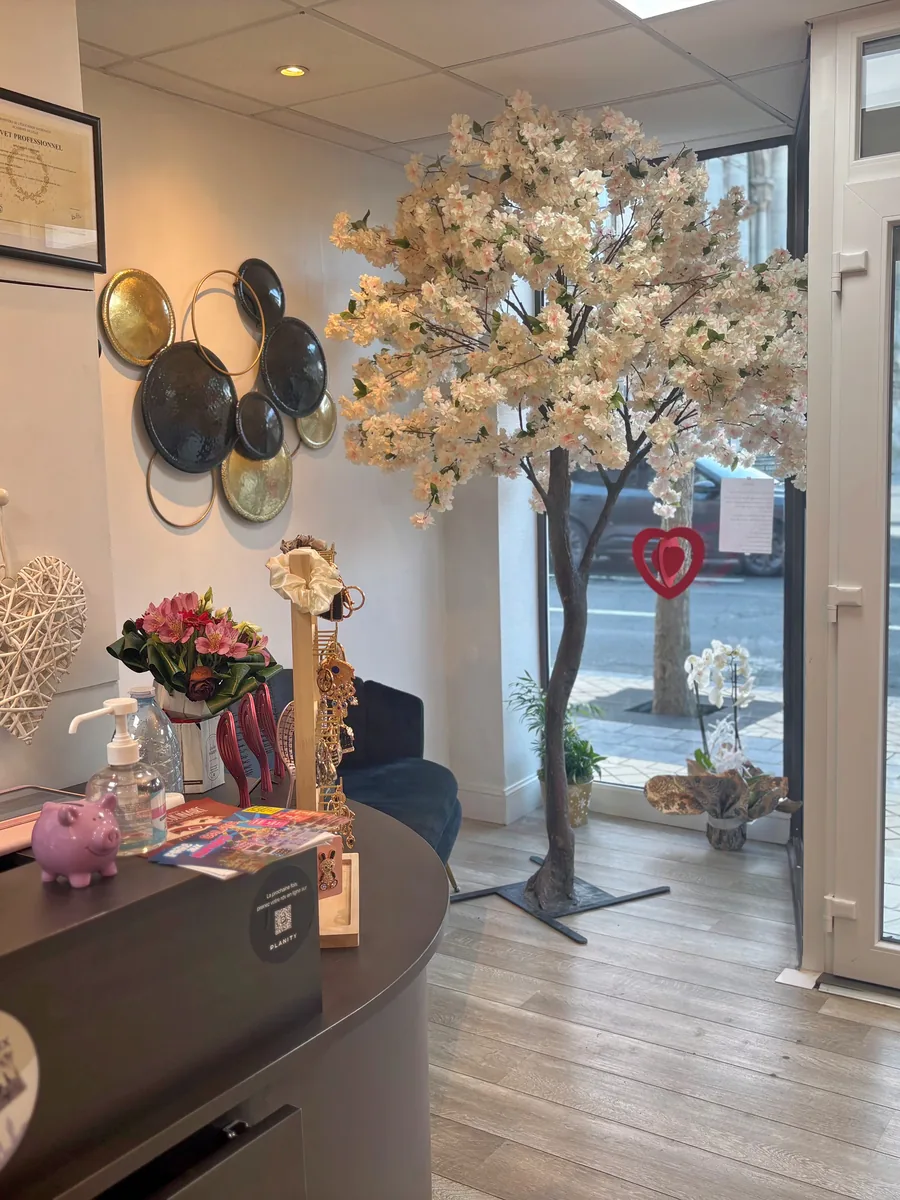 Comptoir d'accueil et cerisier en fleurs à l'entrée du salon L'Authentique by Claire à Calais